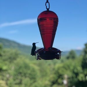 Meet your Posher, Becky